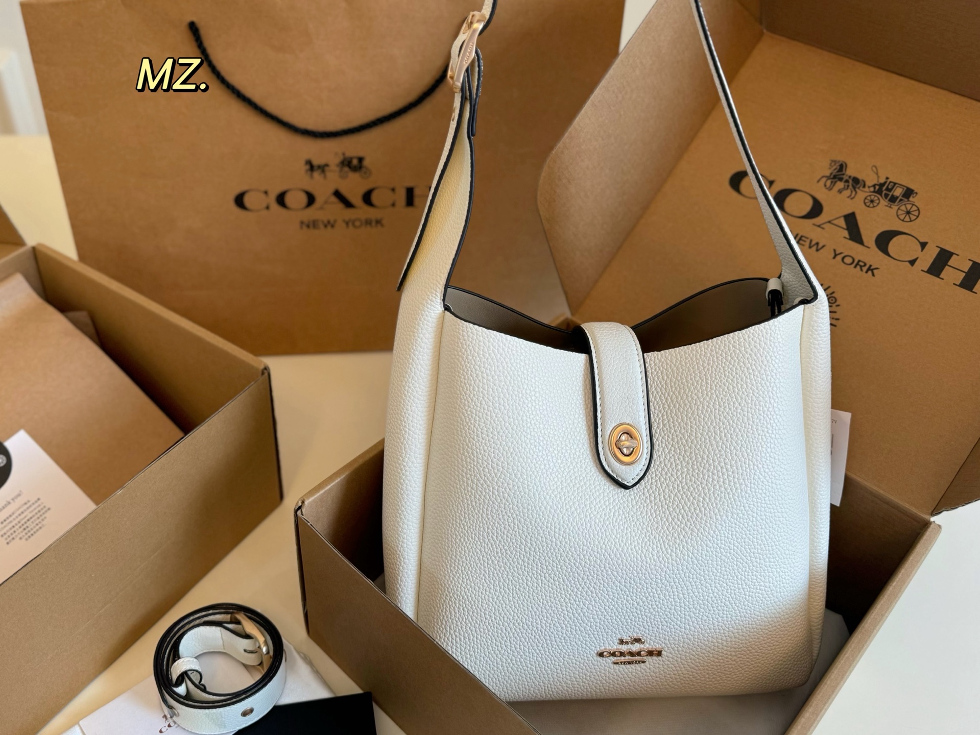 coach bag 207